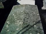 image of grave number 384163
